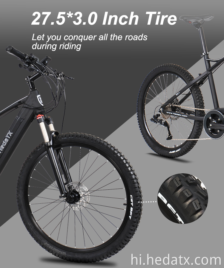 Electric Mountain Bike